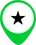 Life Imaging star pin icon